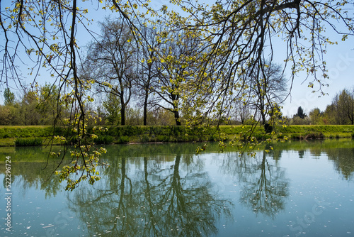 Reflets d'arbres sur le canal latéral à la Garonne près d'Agen dans le département de Lot-et-Garonne