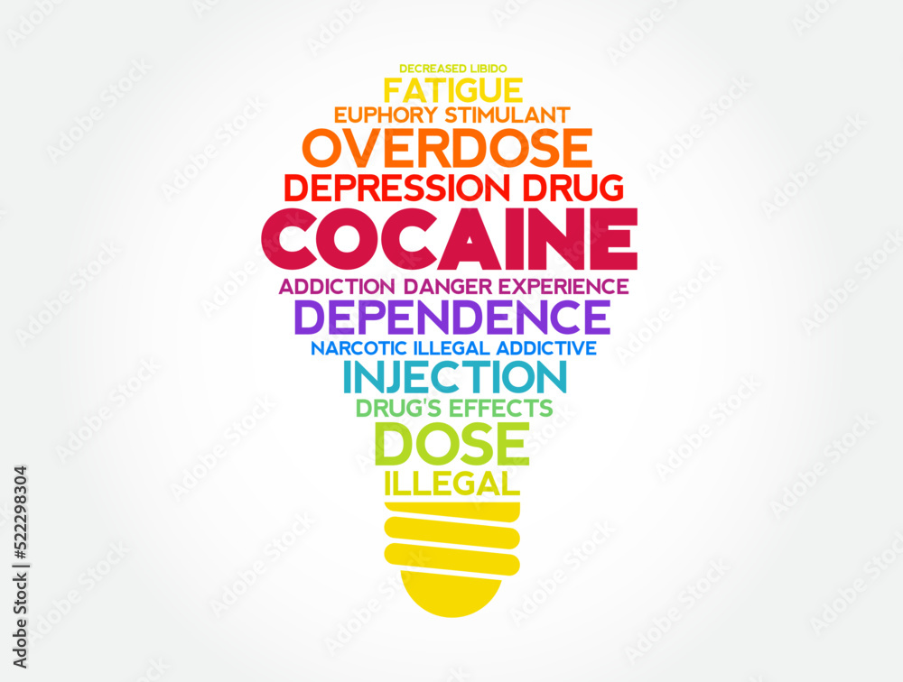 Cocaine is a stimulant drug obtained from the leaves of two Coca