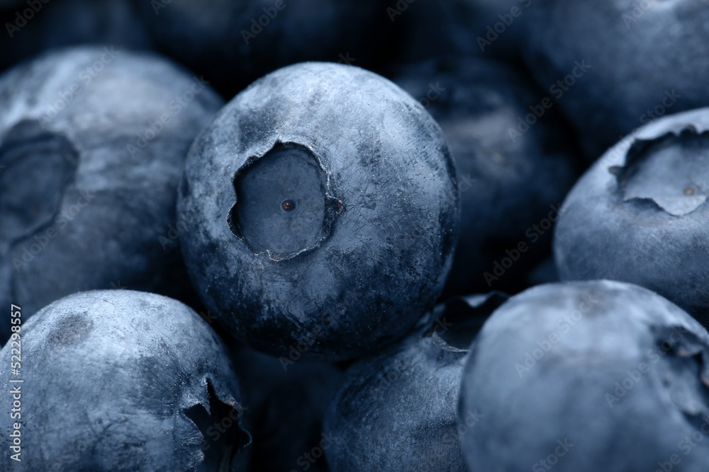 Tasty fresh ripe blueberries as background, closeup Tasty fresh ripe blueberries as background, closeup