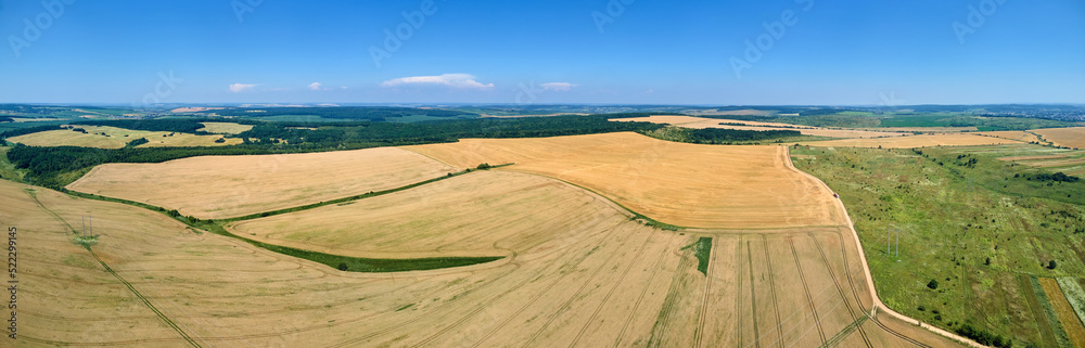 Aerial landscape view of yellow cultivated agricultural field with ripe wheat on bright summer day