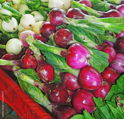 Red and white onions painted on canvas