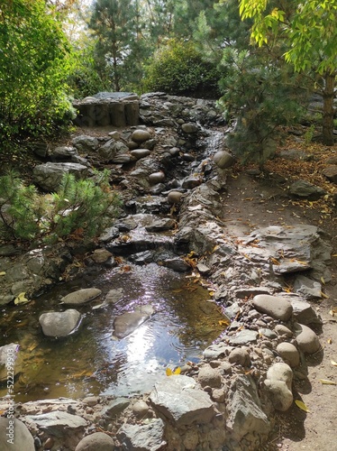 stream in the forest