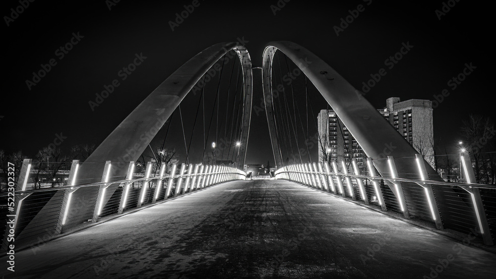 Fototapeta premium Pedestrian Bridge