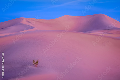 Beauty of the Death Valley National Park from California  USA