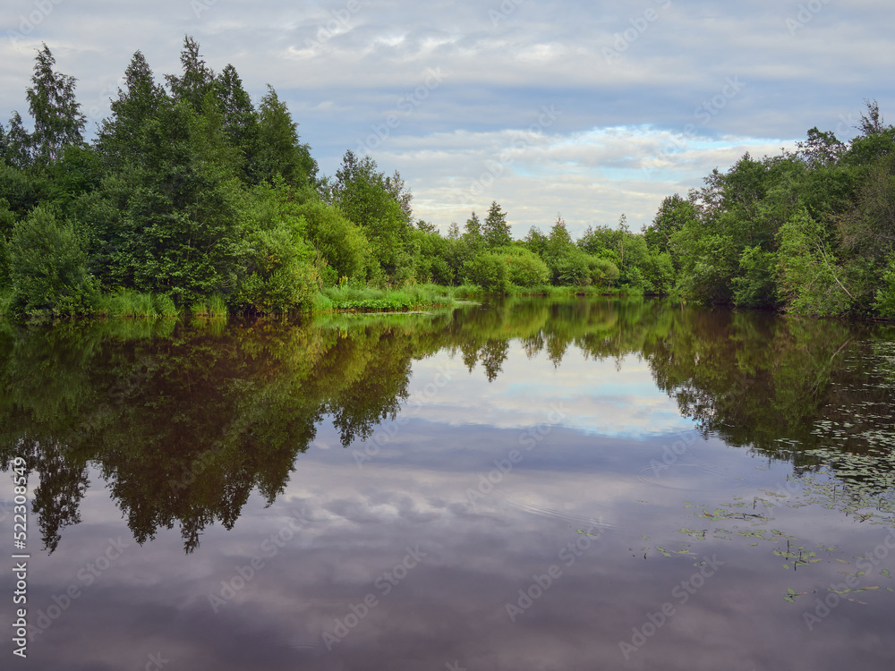 Forest river in Northern Europe: summer, colorful clouds.