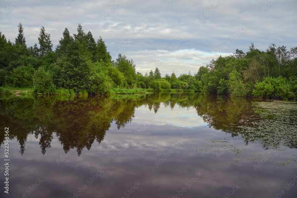 Fototapeta premium Forest river in Northern Europe: summer, colorful clouds.