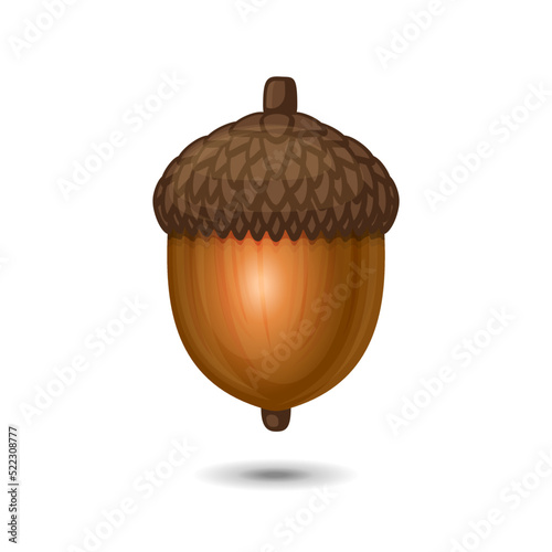 Acorn Nut Icon on White Background. Oak Tree Fruit. Vector