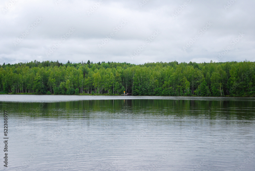 Lake in summer. A lake surrounded by forest. Peat lake. Ripples on the water. Large volume clouds over the water. Cloudy. Natural landscape. The expanses of Russia.