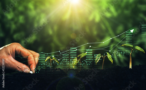 Young plants increase on sunny background.Growing money,finance and investment.	Concept of business growth,profit, development and success. 