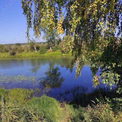 lake in the forest
