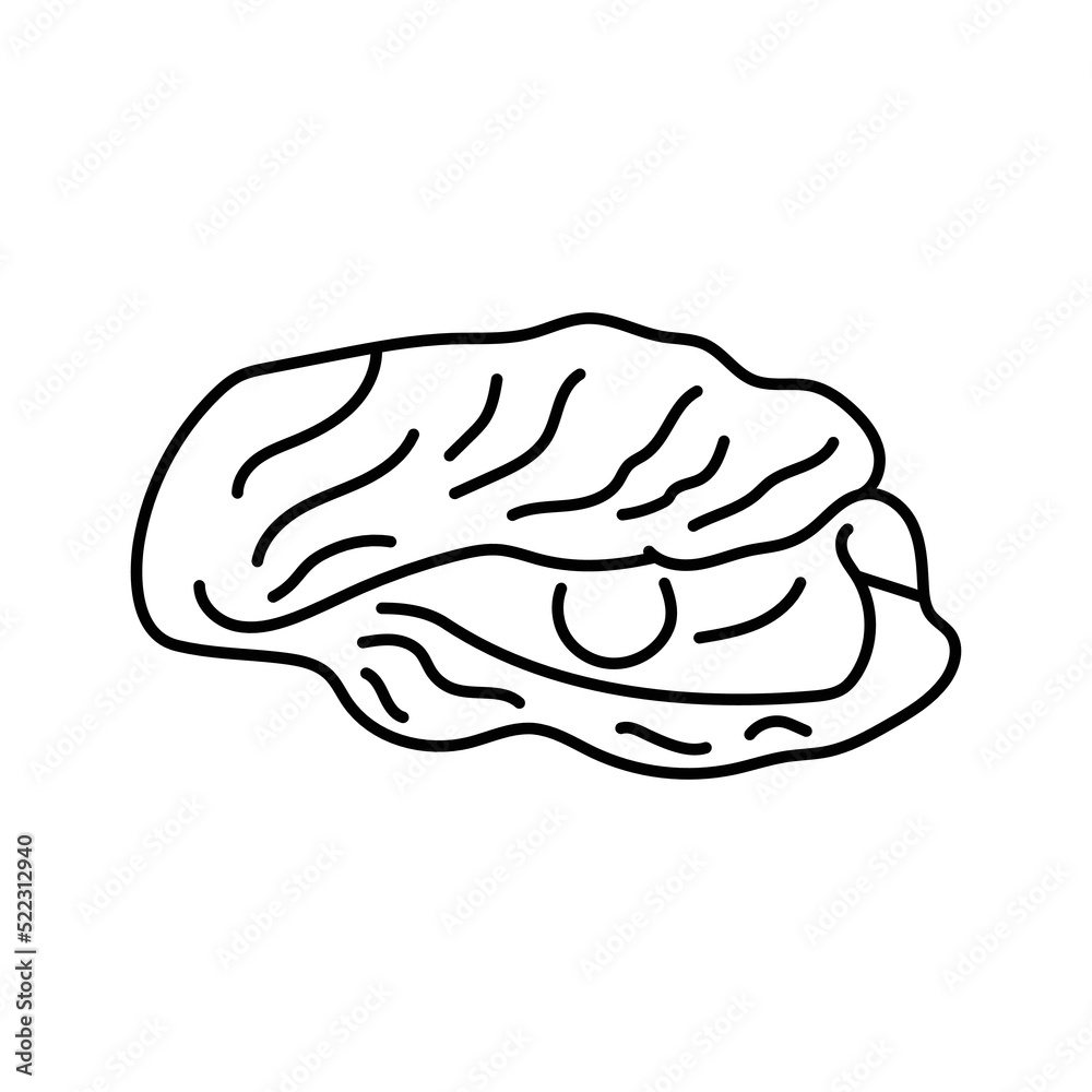 Mollusk pearl color line illustration. Ocean fishes Mollusk pearl color line illustration. Ocean fishes