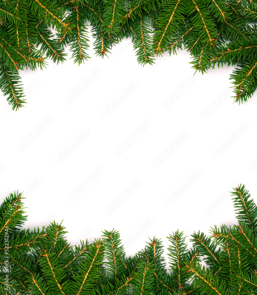 Christmas tree concept. Layout made of Christmas tree branches with copy space. Flat lay. Nature New Year concept.