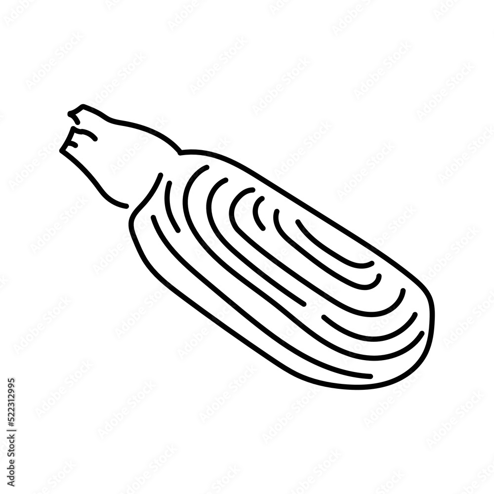 Sea stalk color line illustration. Ocean fishes Sea stalk color line illustration. Ocean fishes