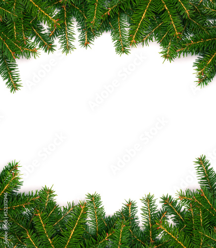 Christmas tree concept. Layout made of Christmas tree branches with copy space. Flat lay. Nature New Year concept.