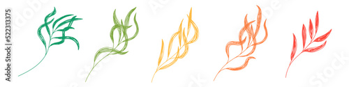 Colorful willow leaves. Leaf sketch. Hand drawn vector illustration. Pen or marker doodle plant