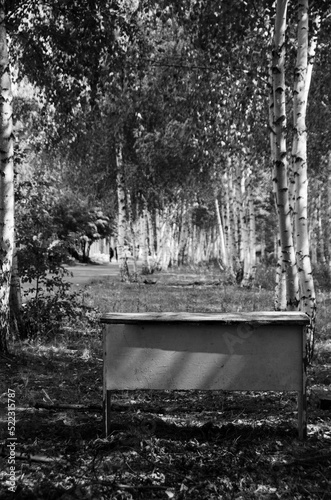 bench in the park
