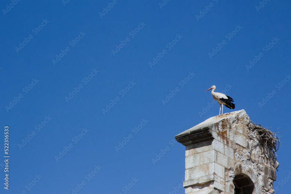 Detail of bell tower with stork. Copy space. Selective focus. Detail of bell tower with stork. Copy space. Selective focus.