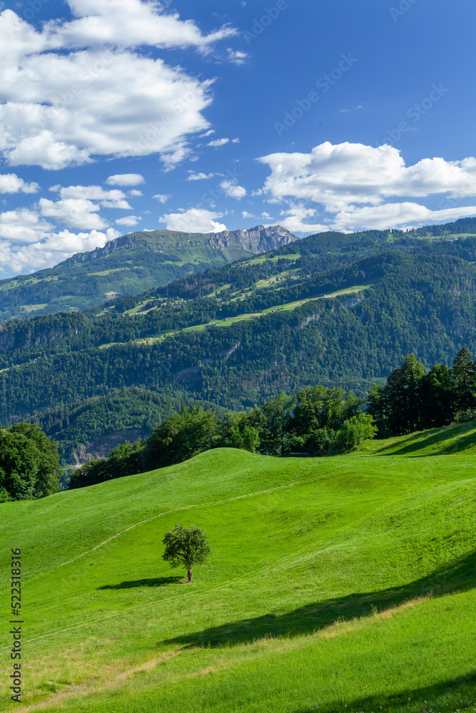 Landscape with mountains, green meadows and forest Landscape with mountains, green meadows and forest