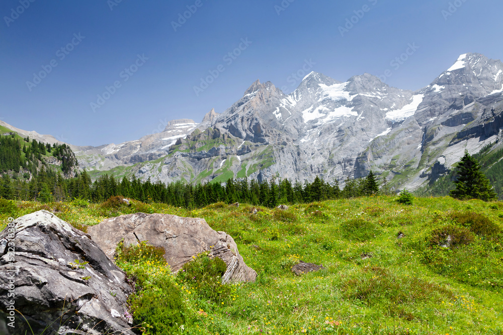 Swiss Alps mountains and blooming meadow