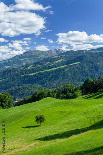 Landscape with mountains, green meadows and forest