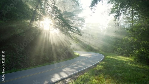 Morning sun rays shine through trees on a mountain road as a car passes by photo