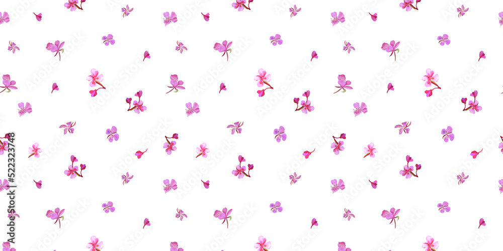 Digital  horizontal seamless pattern with colorful wild fireweed flower . White background.