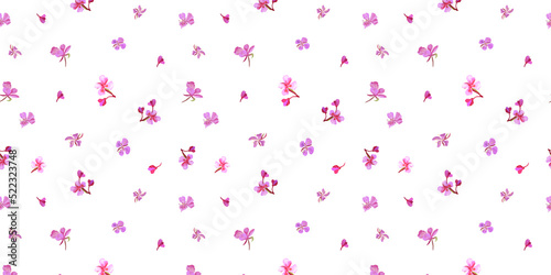 Digital  horizontal seamless pattern with colorful wild fireweed flower . White background. photo