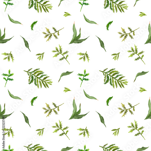 Digital  seamless pattern with colorful wild leaves. White background.