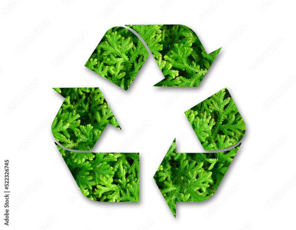 Green leaves forming recycle symbol on white with clipping path, reuse