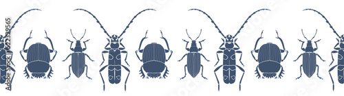 Beetles: scarab, alpine barbel, weevil. Dark grey-blue insect vector silhouettes isolated on white background. Seamless pattern.