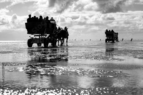 wattwagenfahrt / fahrt mit pferdekutsche im wattenmeer bei ebbe