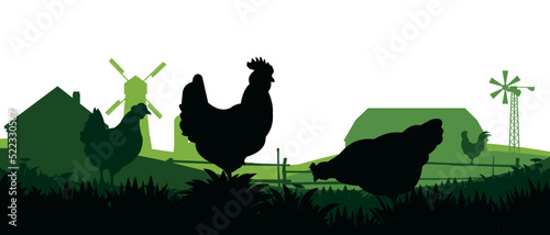 Chickens in pasture. Picture silhouette. Farm pets. Domestic poultry to get eggs. Rural landscape with farmer house. Isolated on white background. Vector