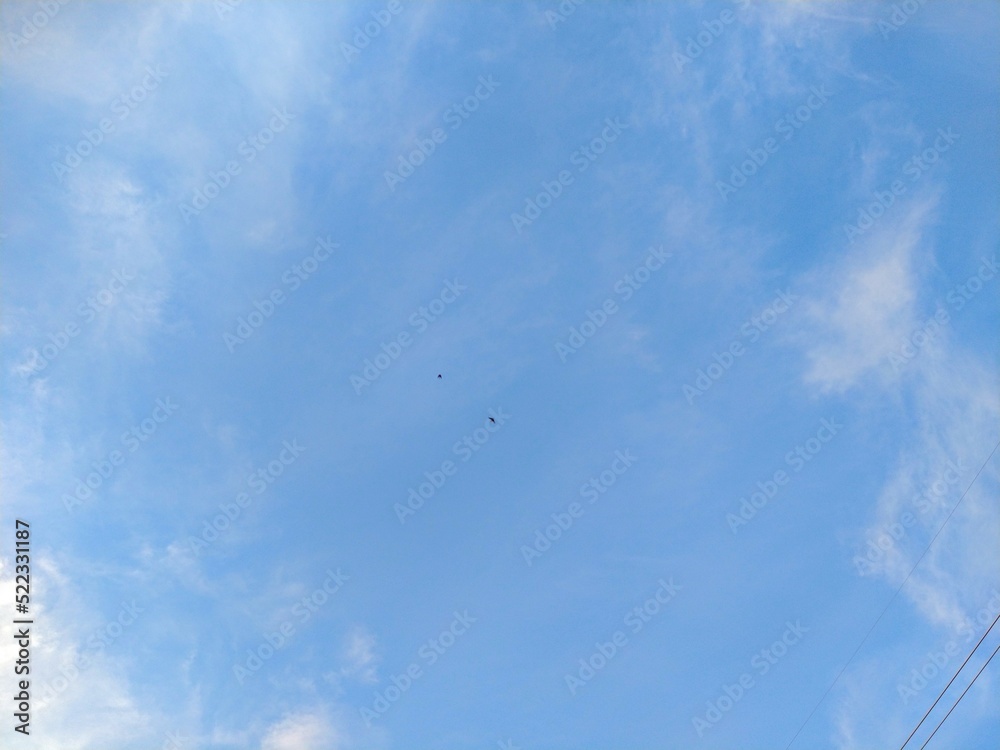 Two Birds Flying in Summer Afternoon Cloudy Sky