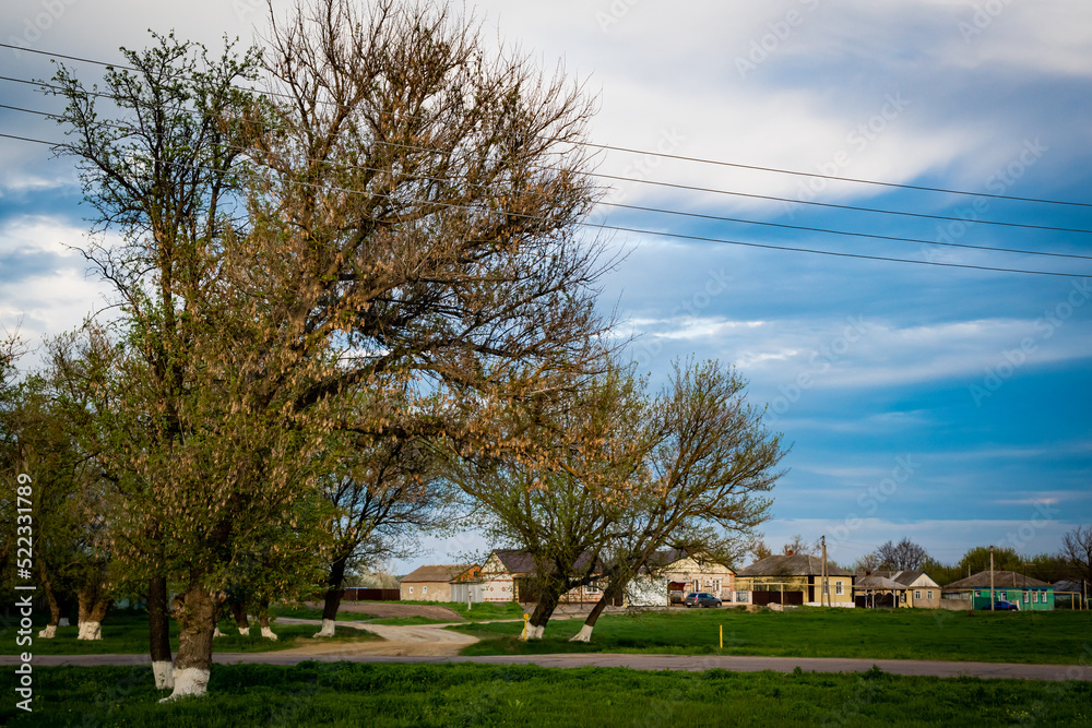 View of rural buildings and meadows, with trees. A distant village, with meadows, buildings and trees, in early spring.