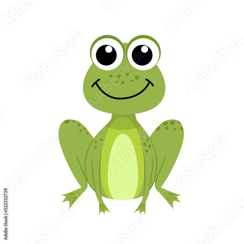 Frog. Funny smiling frog. Flat  cartoon  vector