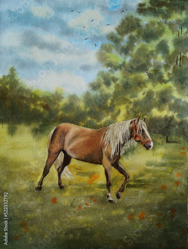 Magnificent brown horse with a white mane grazes in a green meadow. Watercolor painting.
