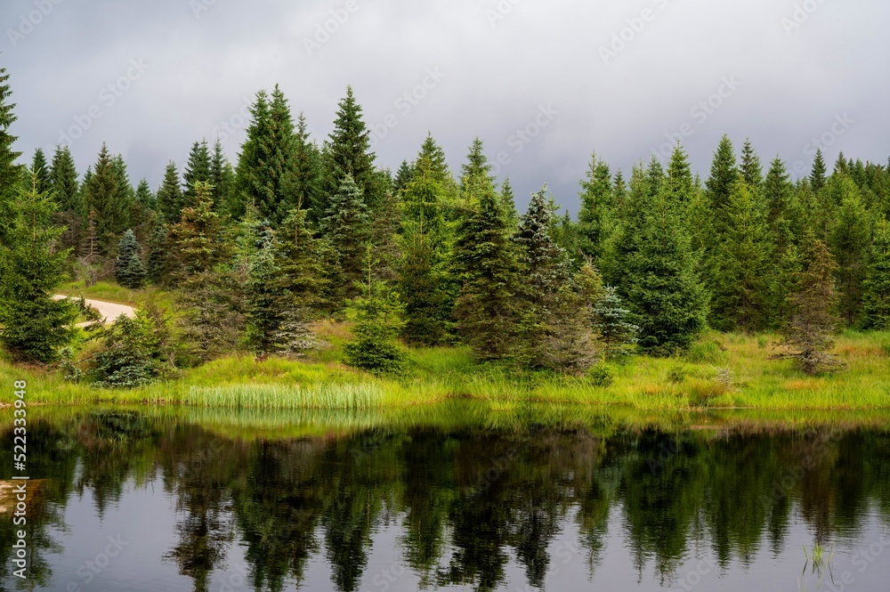 Mountain lake, green spruce forest on bank, Cerna Smeda, Jizera mountains.