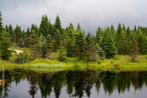 Fototapeta Naklejka Na Ścianę i Meble -  Mountain lake, green spruce forest on bank, Cerna Smeda, Jizera mountains.