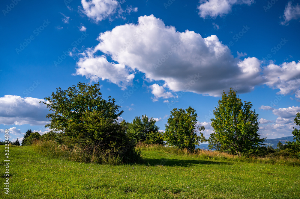 Hill with mountain meadow and tree under blue sky with white cloud. Hill with mountain meadow and tree under blue sky with white cloud.