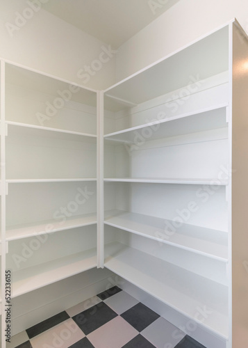 Vertical Kitchen pantry interior with built in shelves cabinet