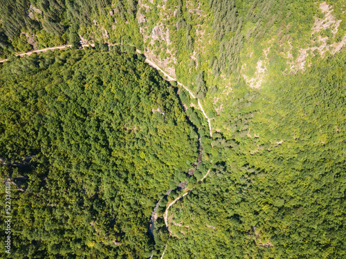 Aerial view of Ecotrail Struilitsa and Devin River gorge, Bulgaria