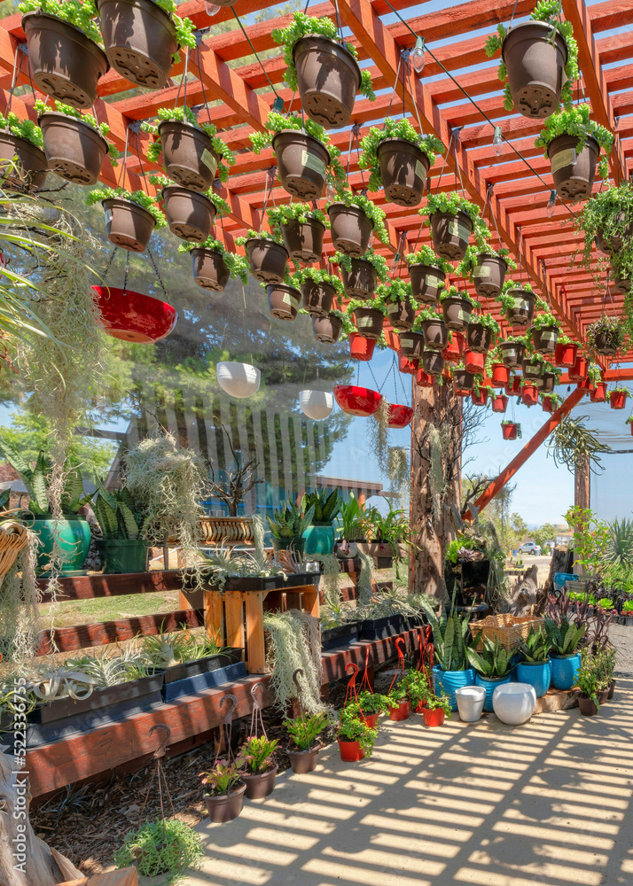 Vertical Walkway with potted plants on racks under the red pergola roof with hanging succulent plants