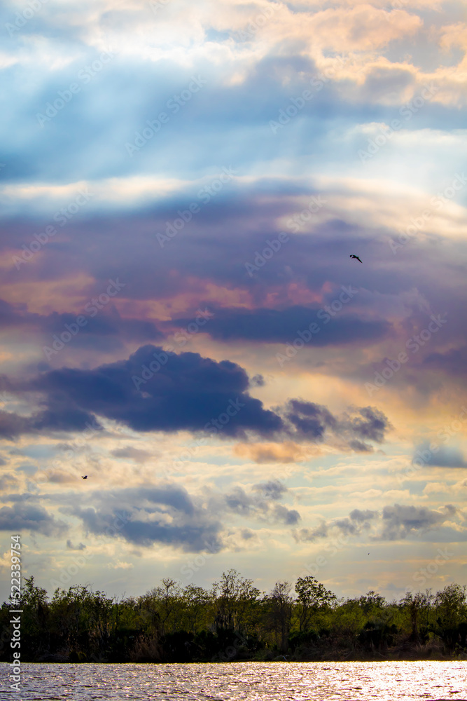 Birds Fly through Sunset Clouds along the Bayou Waters in Lafitte, Louisiana, USA