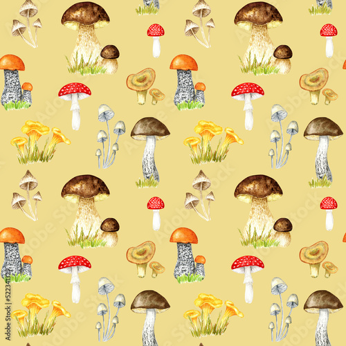 Watercolor mushrooms seamless pattern. Hand drawn Illustration for creating fabrics  wallpapers  gift wrapping paper  invitations  textile  scrapbooking.