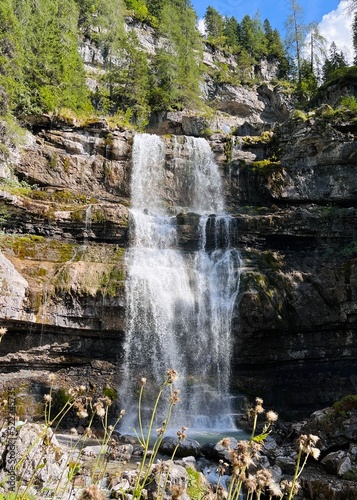 waterfall in the forest