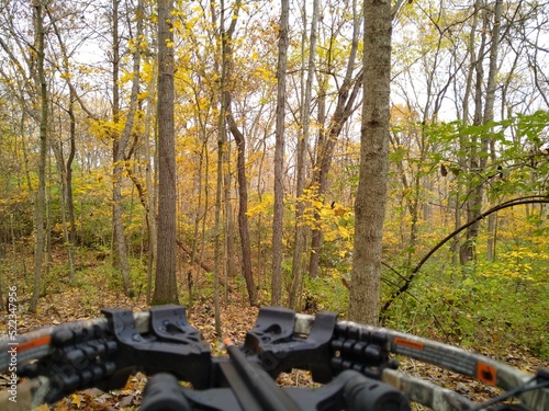 Canvas-taulu crossbow in woods