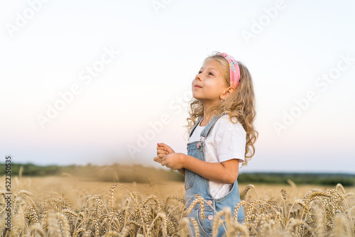 Fototapeta Naklejka Na Ścianę i Meble -  a little blonde curly girl running in a wheat field, the concept of human freedom