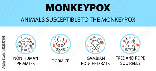 Monkeypox virus animals susceptible icons infographic. New outbreak cases in Europe and USA.