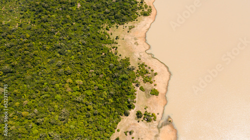 Fototapeta Naklejka Na Ścianę i Meble -  Aerial view of lake with a wild animal surrounded by jungle and tropical vegetation. Sri Lanka.