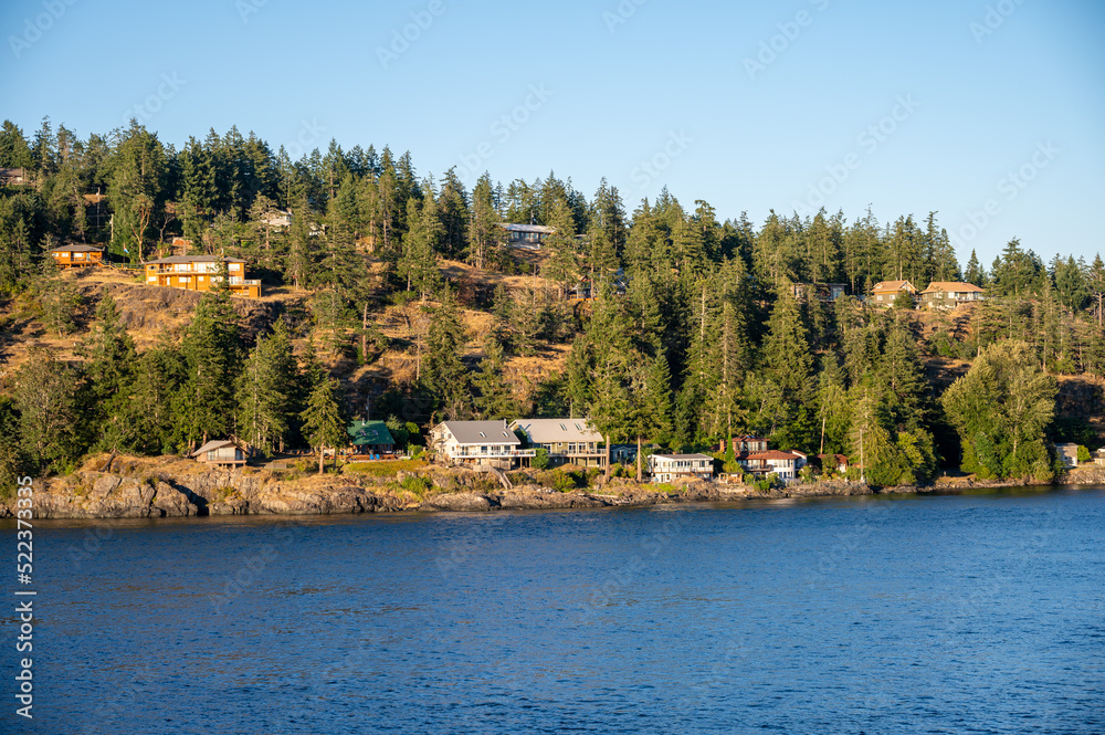 Obraz premium Homes and beautiful landscape on Quadra Island. View from cruise ship.